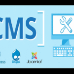 best CMS for media companies