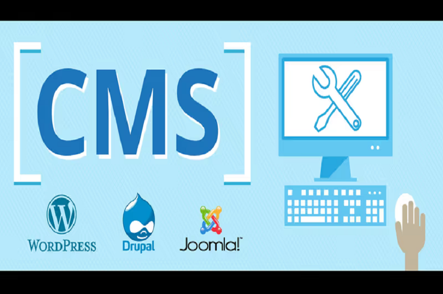 best CMS for media companies